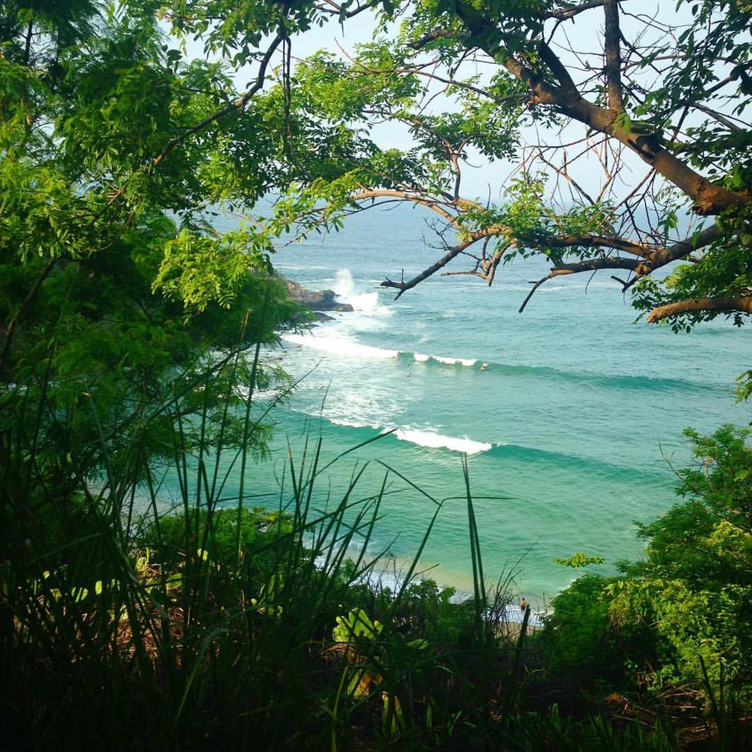 Brisamar Guesthouse Puerto Escondido (Oaxaca) Εξωτερικό φωτογραφία
